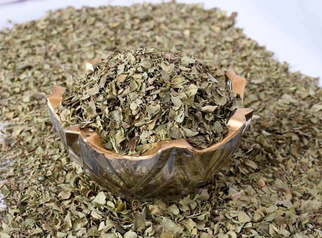 خرید آویشن شیرازی
